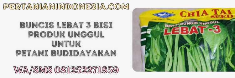 buncis,lebat 3,lebat 3 f1,bisi,cap kapal terbang